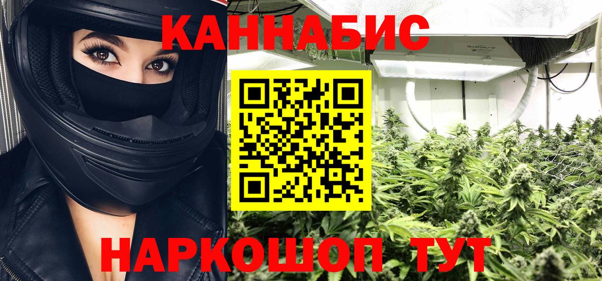 Шишки марихуана план  Шишки марихуана AK-47  Вход с VPN  Бошки марихуана MAZAR  Сосновый Бор  Каннабис сатива 